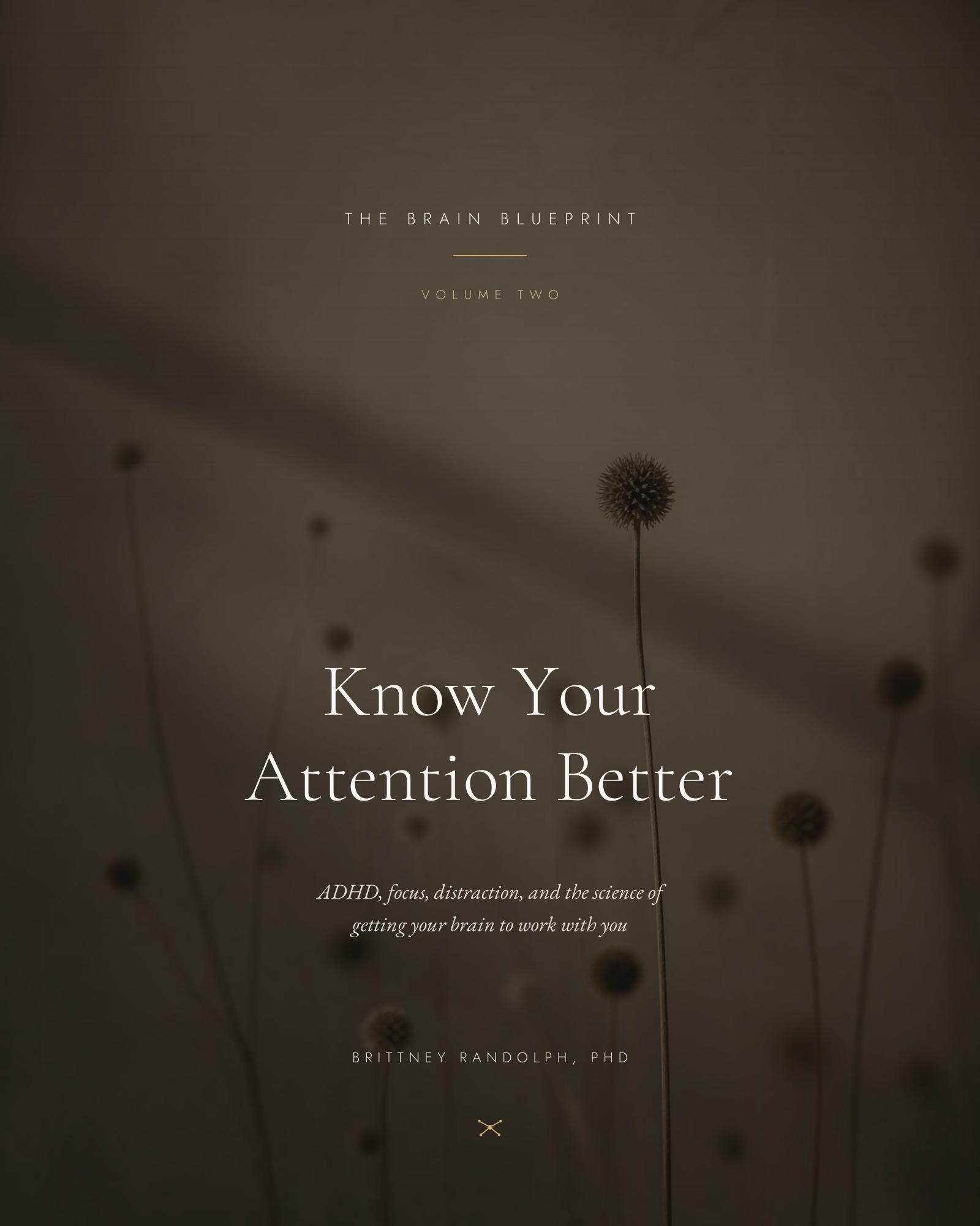 Know Your Attention Better — Volume Two cover, dried seed heads in soft light