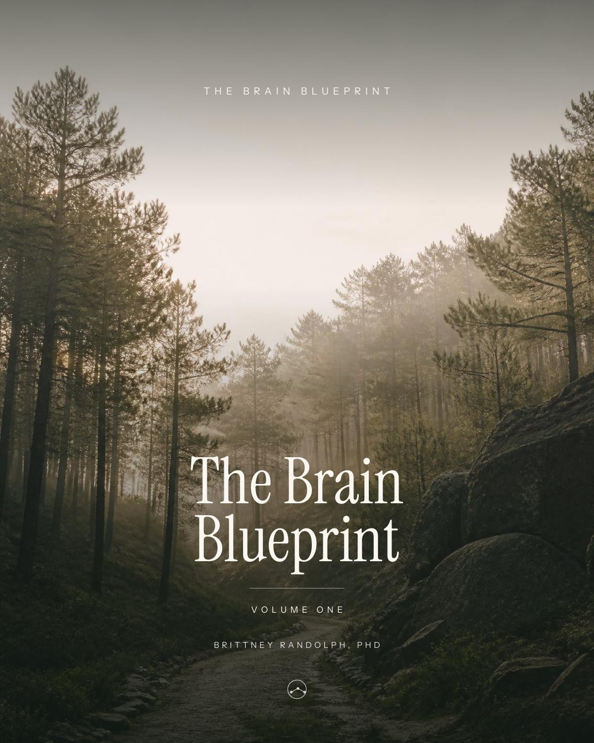 Know Your Brain Better — Volume One cover, sunlit forest path
