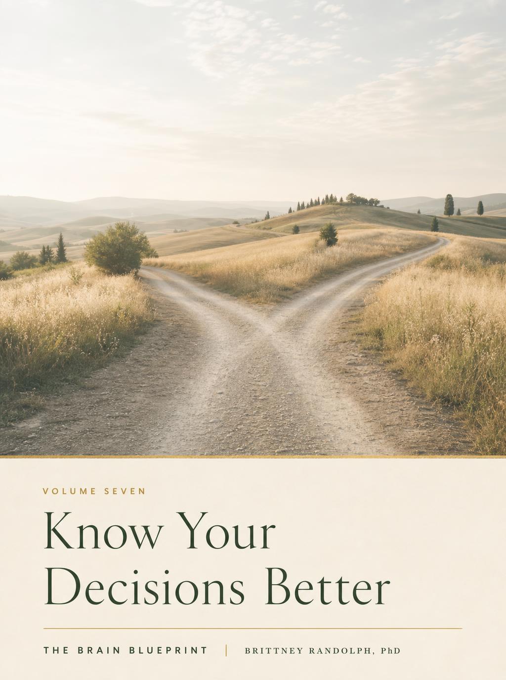 Know Your Decisions Better — Volume Seven cover, a country road forking through golden fields