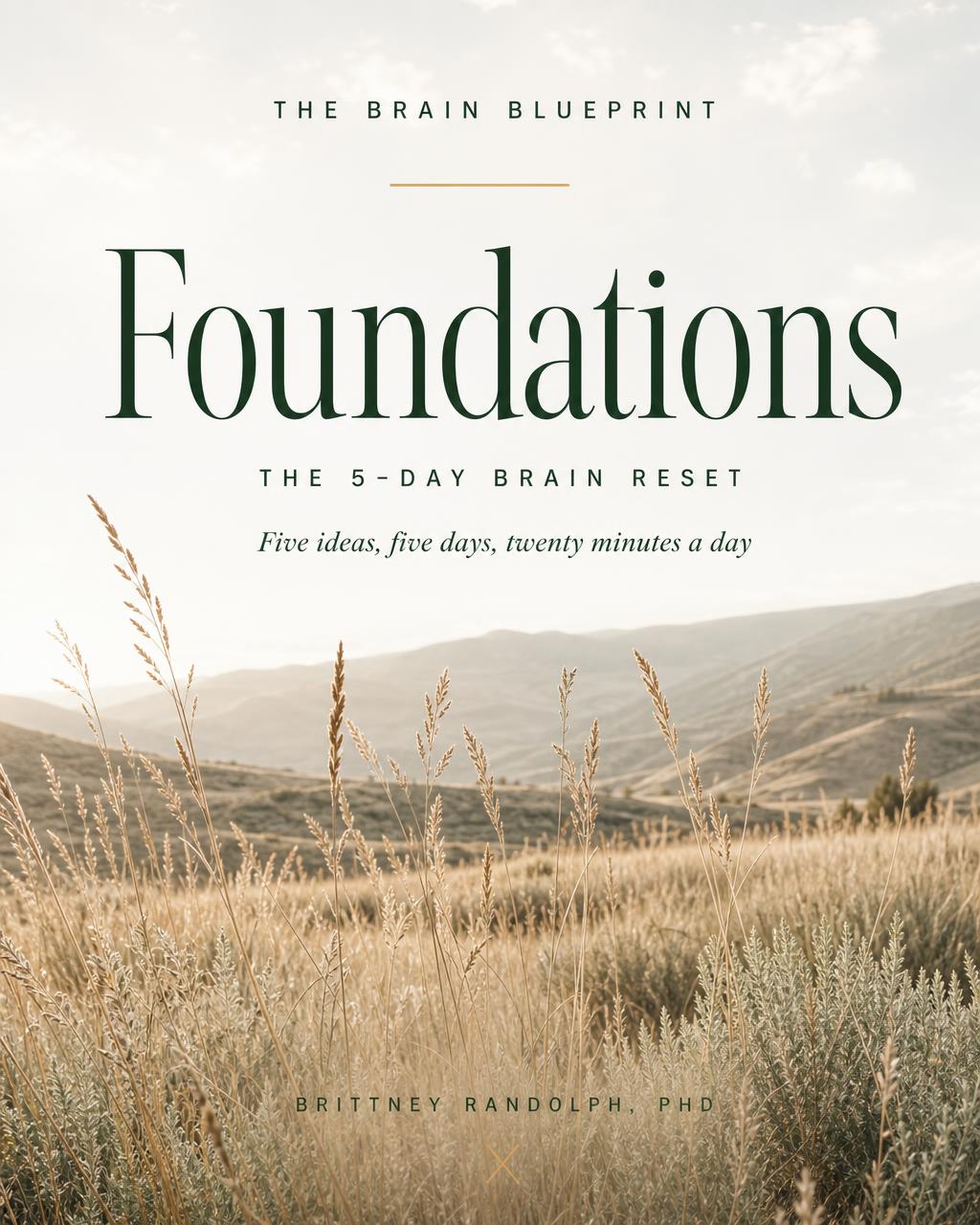 Foundations — The 5-Day Brain Reset cover, light falling through a quiet forest