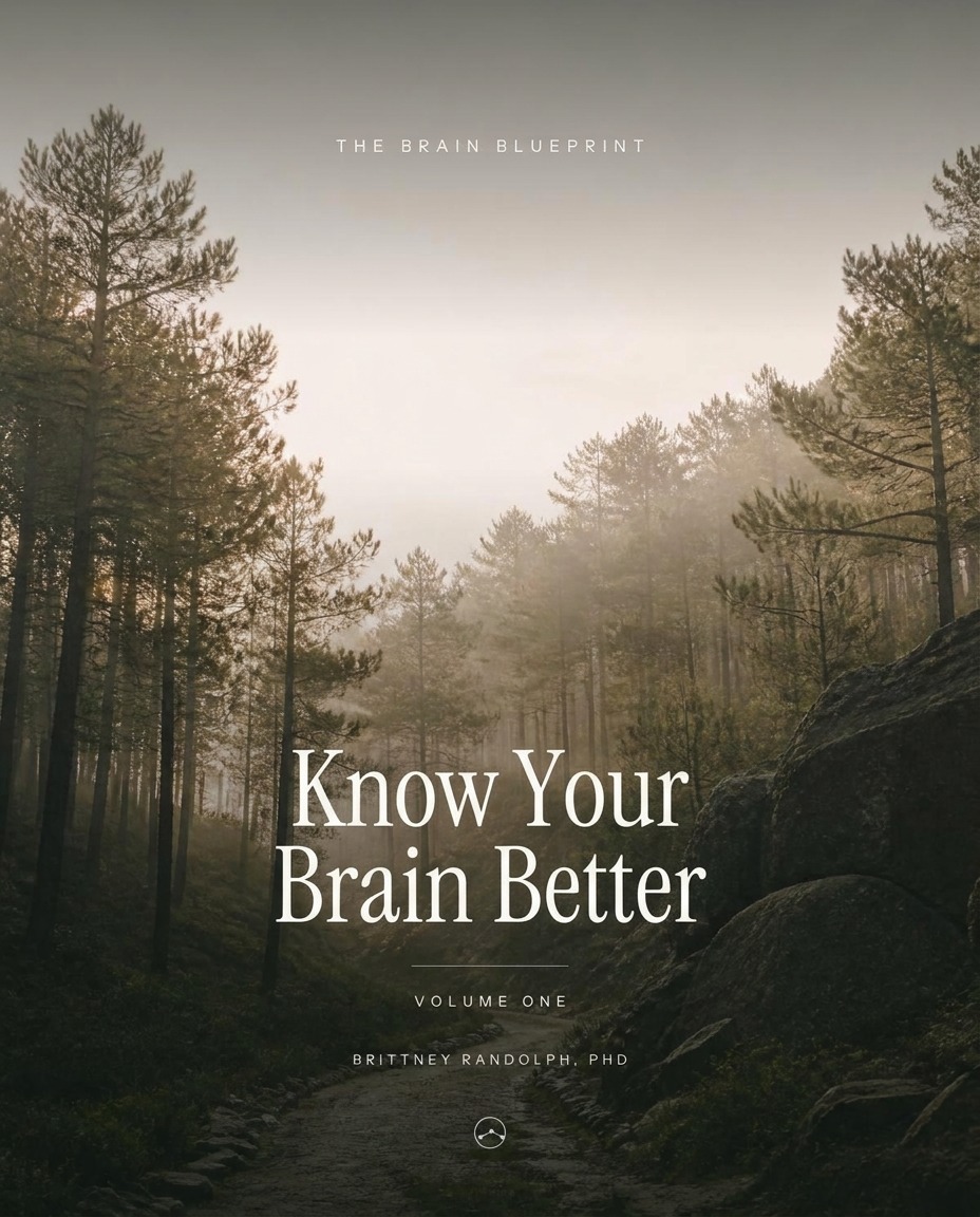 Know Your Brain Better — Volume One cover, sunlit forest path