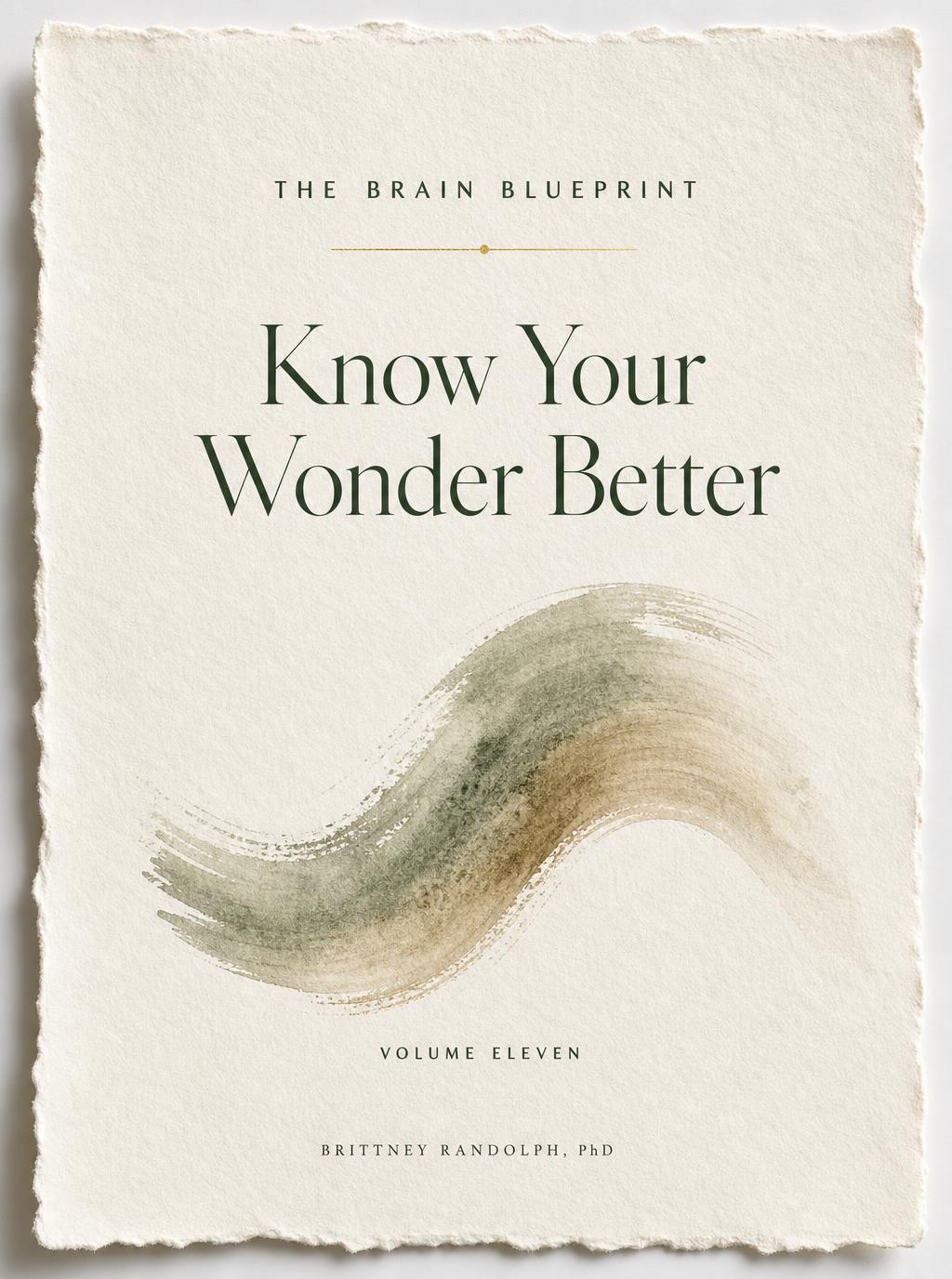 Know Your Wonder Better — Volume Eleven cover, a single sage brushstroke on handmade watercolor paper